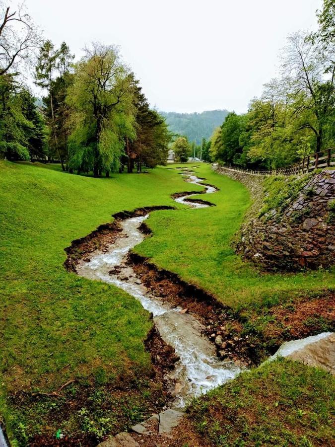 Appartamento Lido Levico Terme Zewnętrze zdjęcie